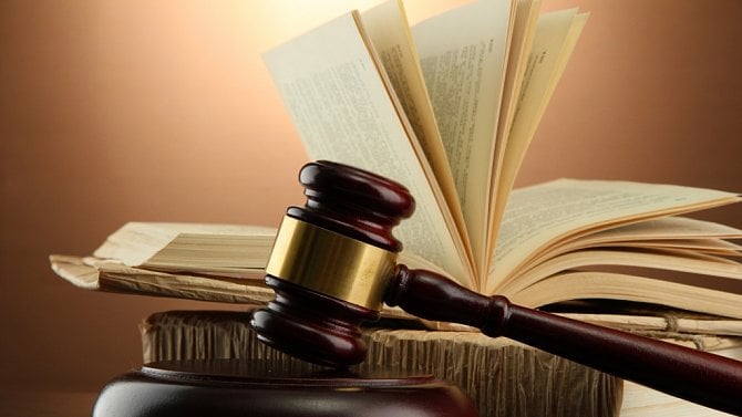 Niche ovoce: Legitimita a akceptace moci